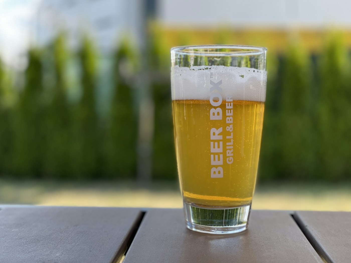 IPA (India Pale Ale)